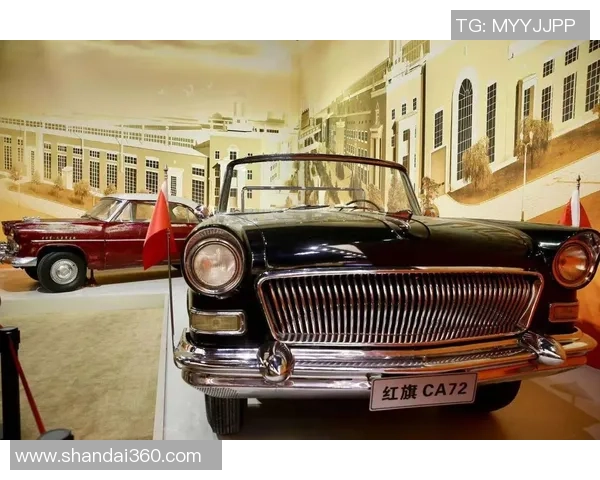 深圳排球队的崛起之路：从默默无闻到世锦赛的辉煌历程