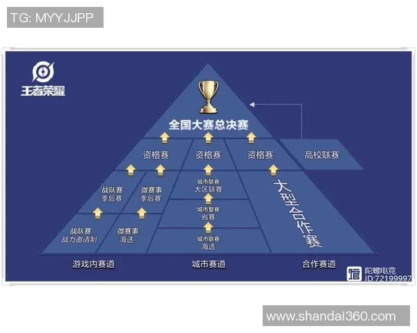 聚焦王者荣耀TES战队灵活性策略解析与未来发展展望